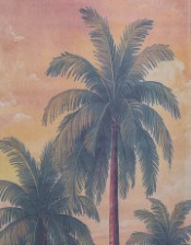 Extra Tall Palm Trees Wall Hanging Canvas Print