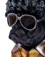 "Pug Thug" Dog Ornament