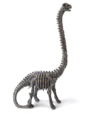 Brachiosaurus Dinosaur Skeleton Ornament