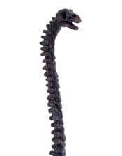Brachiosaurus Dinosaur Skeleton Ornament