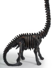 Brachiosaurus Dinosaur Skeleton Ornament