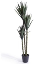 Extra Large Triple Stem Sisal Tree