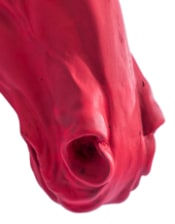 Magenta "Pink Pony" Large Horse Wall Head