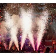 Le Maitre PP022 10 x Prostage Stage Gerb - 10 second x 3m