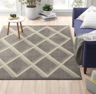 Chad Rug 572