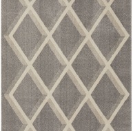 Chad Rug 572