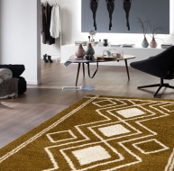 Ashton Rug - Mustard Cream 04