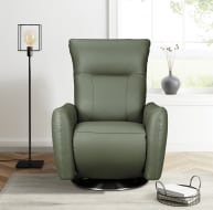 Monti Chair (Green Leather)