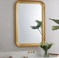 GD016 Mirror