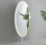 GD018 Mirror