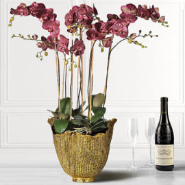 Damson Orchid Phalaenopsis Large Plants in Antiqued Gold Decorative Pot