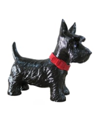 Black Terrier Dog Money Bank