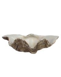 Small Clam Shell Jewellery / Storage Bowl