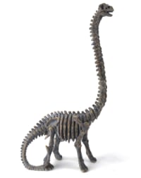 Brachiosaurus Dinosaur Skeleton Ornament