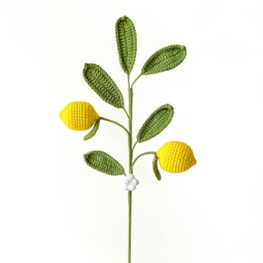 Double-Headed Crochet Lemon