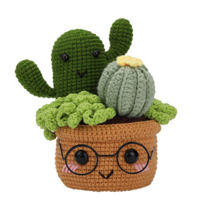 Crochet Mixed Succulent Garden