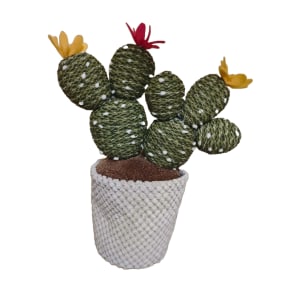 Bunny Ear Cactus Pot Door Stop
