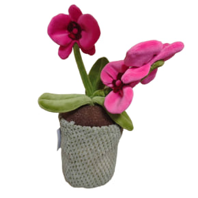 Pink Orchid Flower Pot Door Stop
