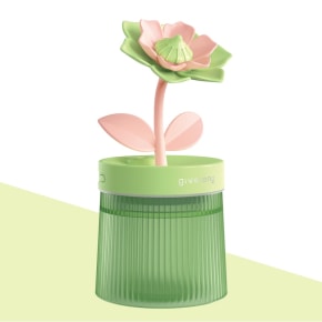 Star Flower Diffuser - Green