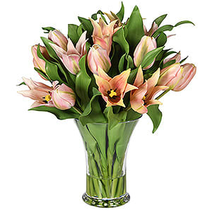 Pink Tulip Arrangement