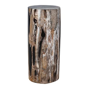 Polished Petrified Wood Side Table