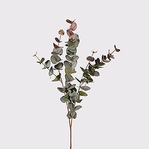 Large Natural Blush Eucalyptus Spray