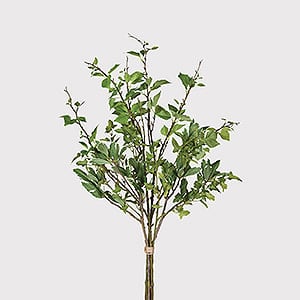 Noon Florist Bundle
