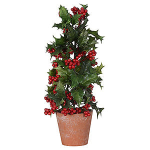 Potted Holly Plant