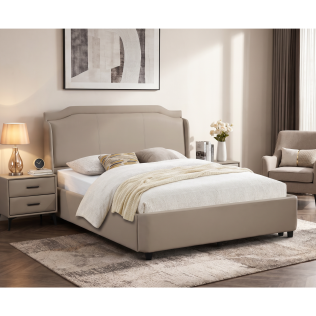 Tipperary Gas Lift Bed