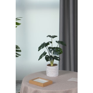 Serena Pot Plant, 80cm Height