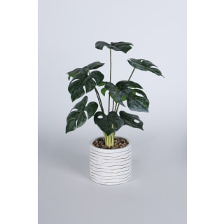Serena Pot Plant, 80cm Height