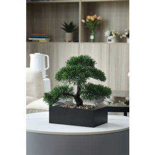 Omari Pot Plant, 35cm Height