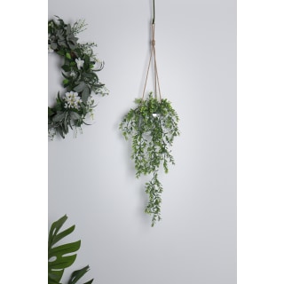 Persephone Hanging Plant - total 88cm Height