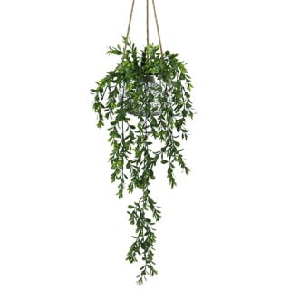 Persephone Hanging Plant - total 88cm Height
