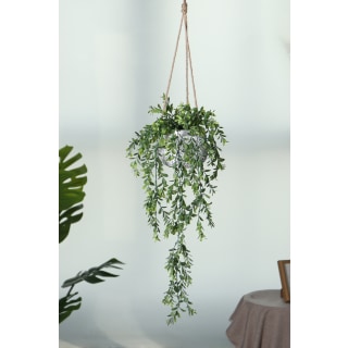 Persephone Hanging Plant - total 88cm Height