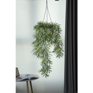 Gyasi Hanging Plant, total 84cm Height