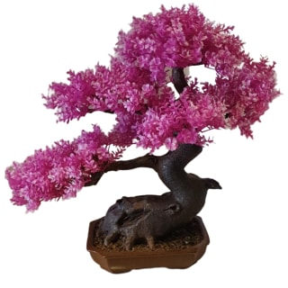 Pink Bonsai Tree 32X22x28cm, 6/Box