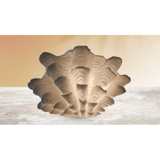 Fluted Clam Lamp