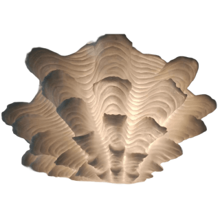 Fluted Clam Lamp