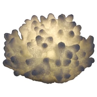 Mini Bulged Coral Lamp
