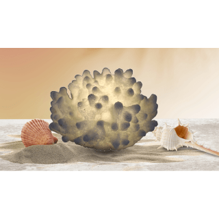 Mini Bulged Coral Lamp