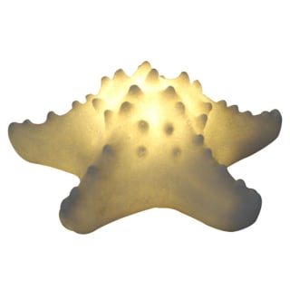 Mini Starfish Lamp