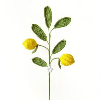 Double-Headed Crochet Lemon