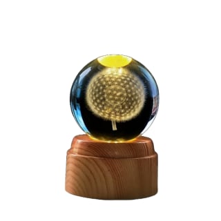 Dandelion Rotating 3D Crystal Globe Light