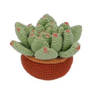 Crochet Succulent with Pot