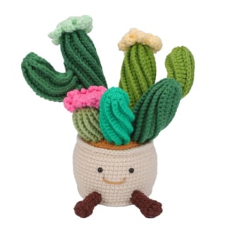 Crochet Blooming Cactus with Pot