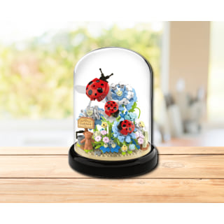 Assorted 6 Garden Wonder CDU