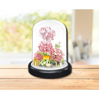 Assorted 6 Garden Wonder CDU