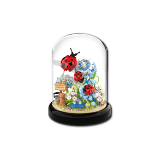 Assorted 6 Garden Wonder CDU
