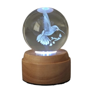 Hummingbird Rotating 3D Globe Light - Wooden
